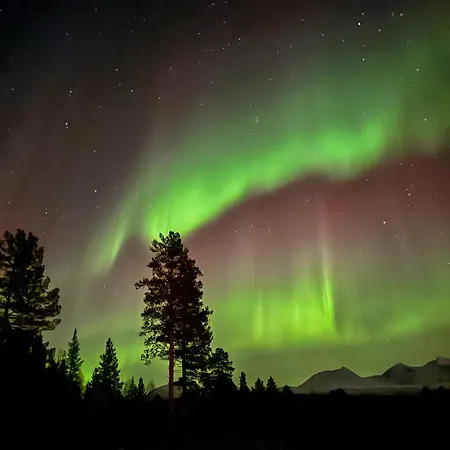 Malselvfossen Feriesenter Campingplads