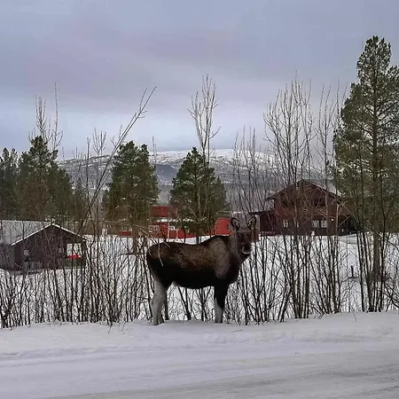 Campingplads Malselvfossen Feriesenter *