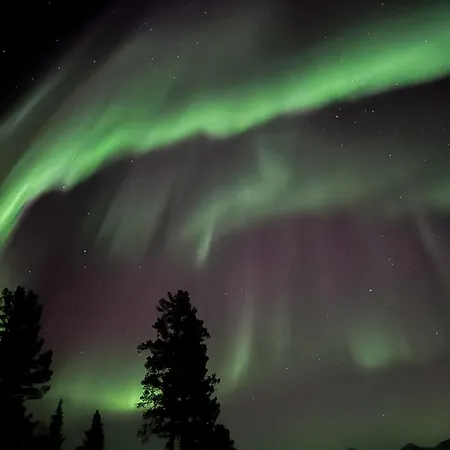 Campingplads Malselvfossen Feriesenter *